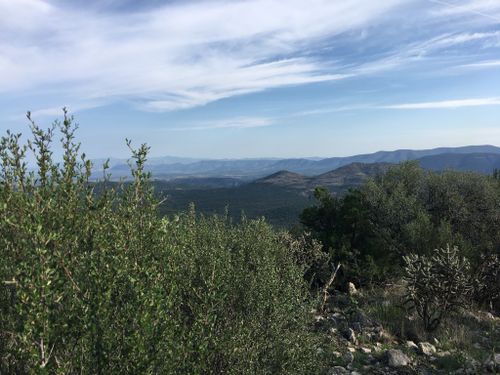 Best 10 Hikes and Trails in Gila National Forest | AllTrails