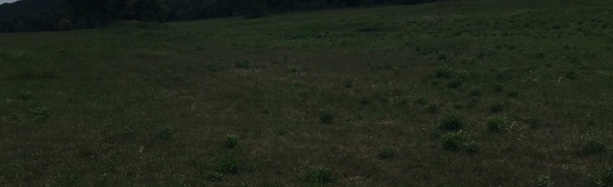 North River Fork Ranch South Loop [PRIVATE PROPERTY], Missouri 16