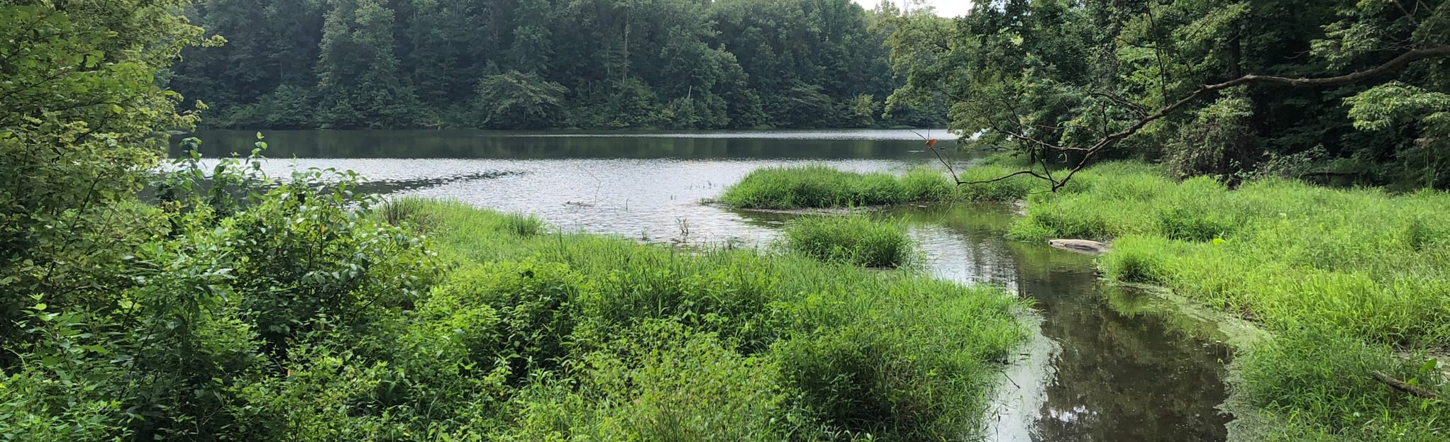 Lake Tywappity Trail Loop 79 Reviews, Map Missouri AllTrails