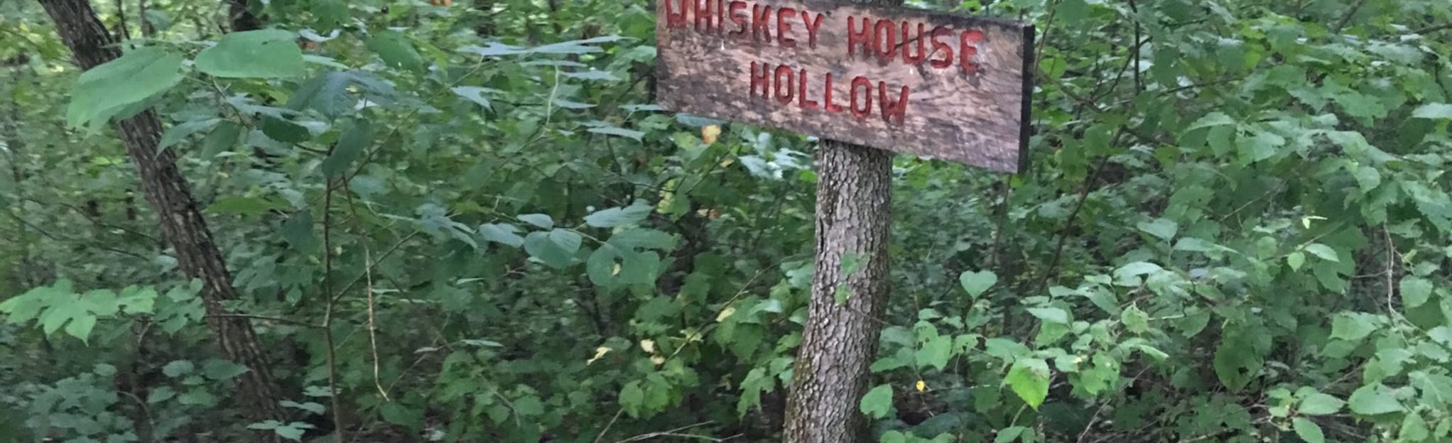 North Fork River Ranch Pink Trail 30 Reviews, Map Missouri AllTrails