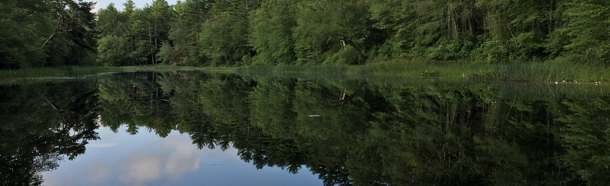 Wood River Canoe, Rhode Island 11 Reviews, Map AllTrails