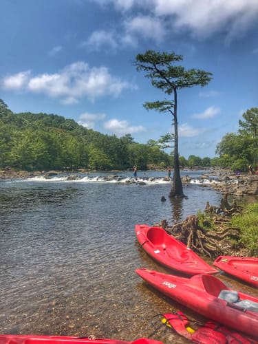 2023 Best Fishing Trails in Beavers Bend State Park | AllTrails