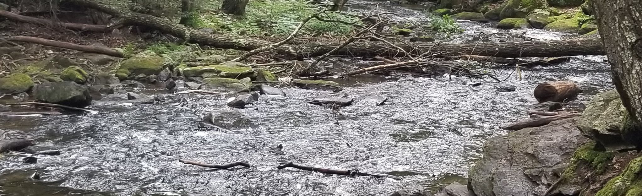 Upper Garwin Falls [CLOSED]: 51 Reviews, Map - New Hampshire | AllTrails