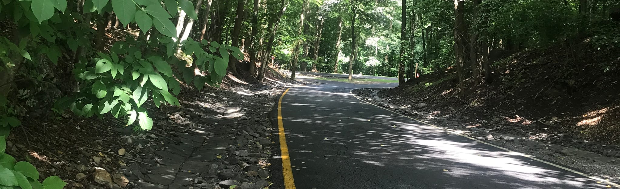 Sprain Ridge Mountain Bike Loop, New York - 249 Reviews, Map | AllTrails