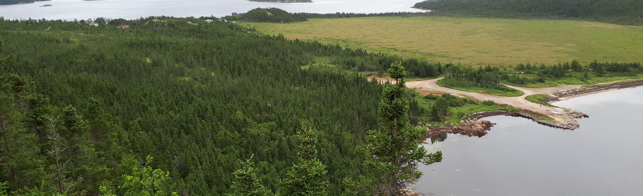 Hare Bay Lookout Trail: 6 Reviews, Map - Newfoundland And Labrador 