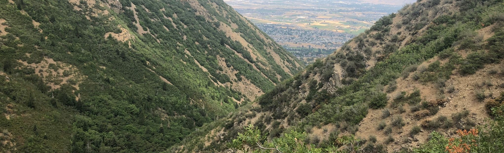 Hidden Oak and Snell Canyon Trail: 168 Reviews, Map - Utah | AllTrails