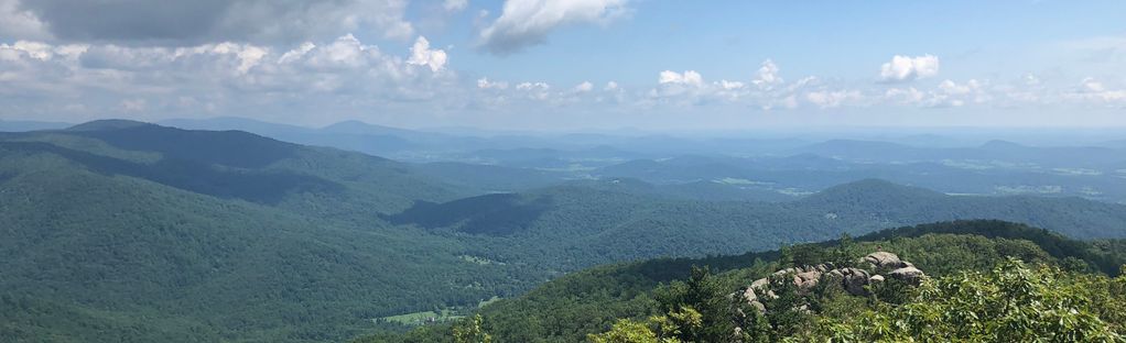 can dogs hike old rag