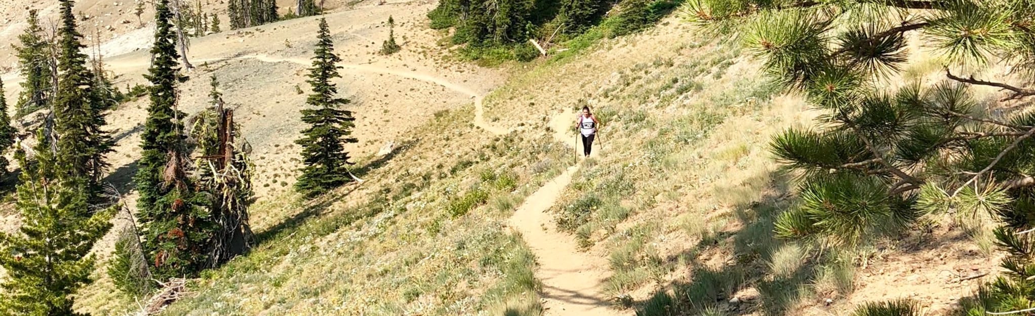 Stafford Creek Trail 244 Reviews Map Washington AllTrails