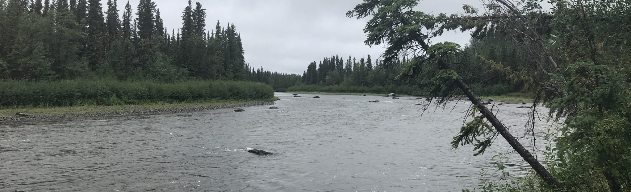 Gulkana River Trail, Alaska 5 Reviews, Map AllTrails