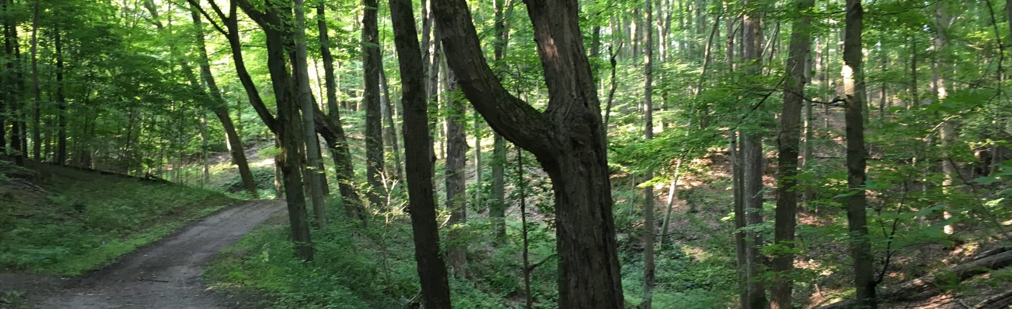 Restoration, Headwater, and Lookout Loop 91 Reviews, Map Ontario