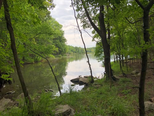 Long hunter state park day loop trail best sale