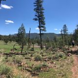 Oak Spring Trail #16, AZ