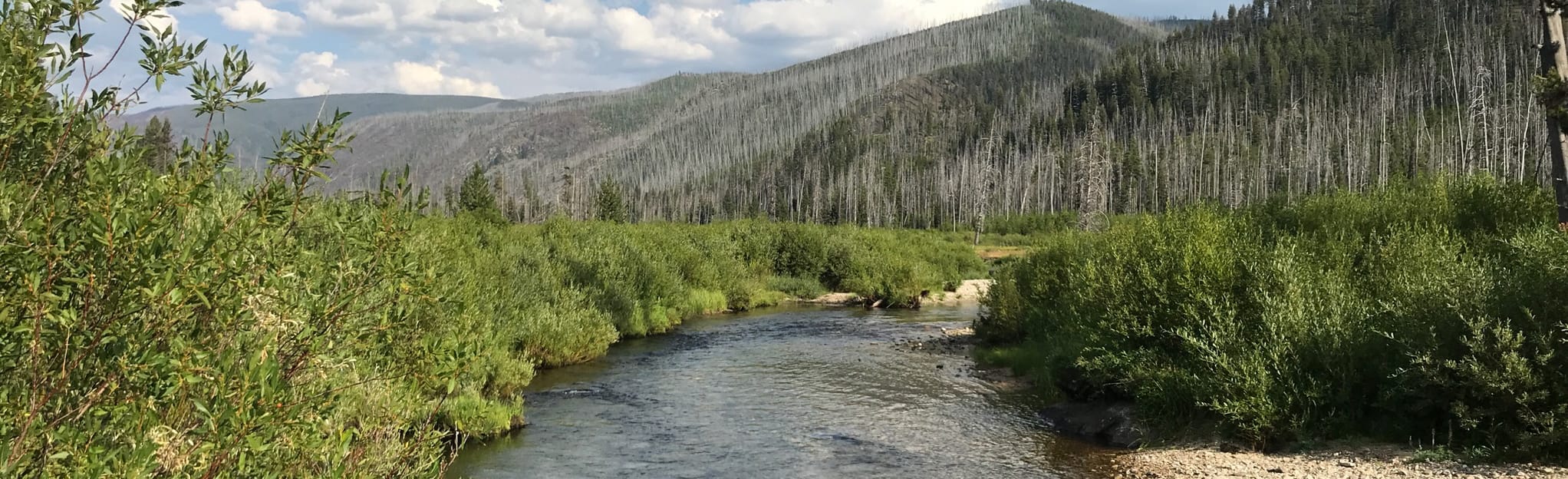 East Fork Bitterroot River Trail, Montana 13 Reviews, Map AllTrails