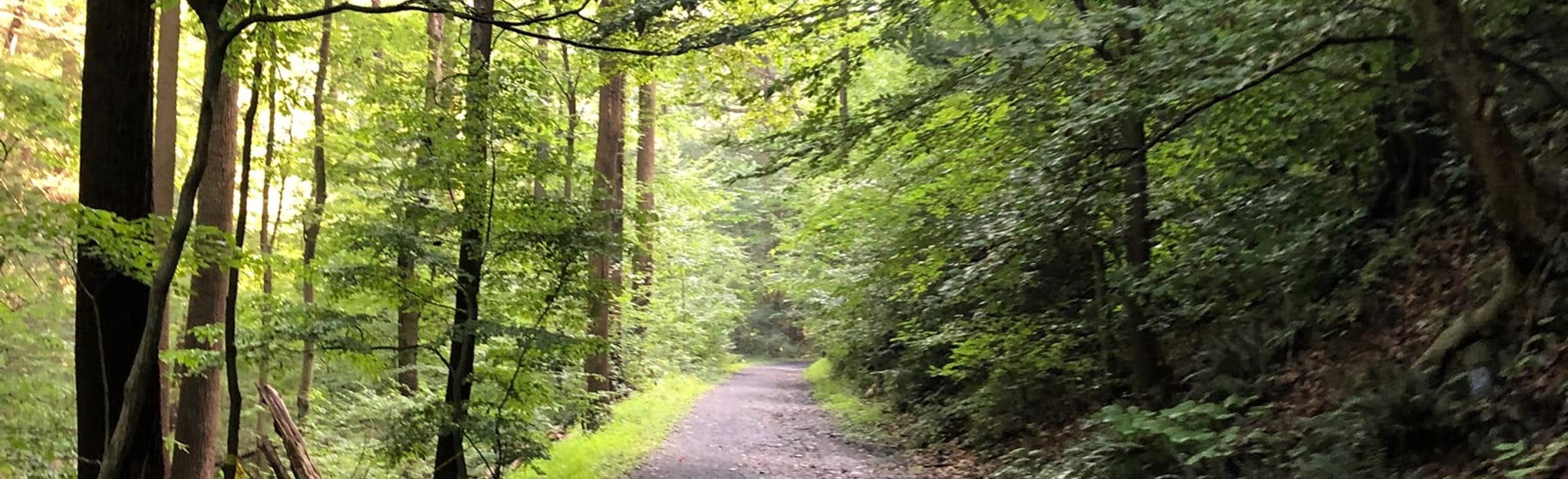 Nolde Forest Outer Loop Pennsylvania - EyJidWNrZXQiOiJhc3NldHMuYWxsdHJhaWxzLmNvbSIsImtleSI6InVwbG9hZHMvcGhvdG8vaW1hZ2UvMjEwNjk0MjkvNTYwNjFkZmNmZTQxMDk3YjBmNGZlNTAyNjBlM2MxYWQuanBnIiwiZWRpdHMiOnsidG9Gb3JtYXQiOiJqcGVnIiwicmVzaXplIjp7IndpZHRoIjoyMDQ0LCJoZWlnaHQiOjYyNCwiZml0IjoiY292ZXIifSwicm90YXRlIjpudWxsLCJqcGVnIjp7InRyZWxsaXNRdWFudGlzYXRpb24iOnRydWUsIm92ZXJzaG9vdERlcmluZ2luZyI6dHJ1ZSwib3B0aW1pc2VTY2FucyI6dHJ1ZSwicXVhbnRpc2F0aW9uVGFibGUiOjN9fX0=