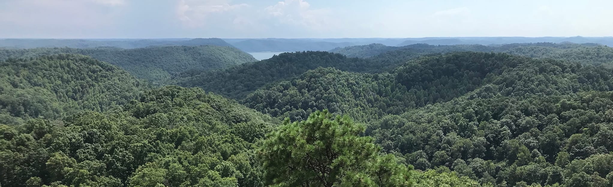 Lockegee Rock: 141 Reviews, Map - Kentucky | AllTrails