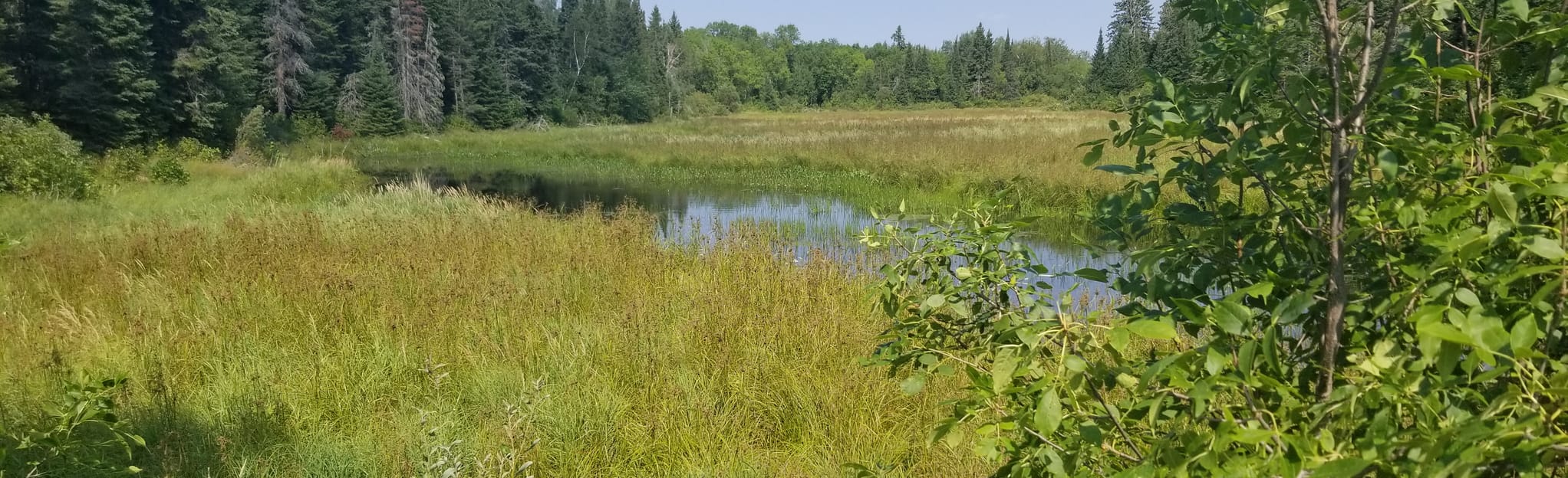 Rice Lake Loop 21 Photos Manitoba, Canada Randonnée AllTrails
