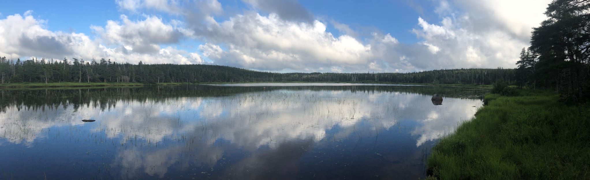 Benjie's Lake 41 foto's Nova Scotia, Canada AllTrails