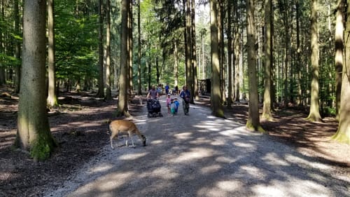Durch den Wildpark Poing