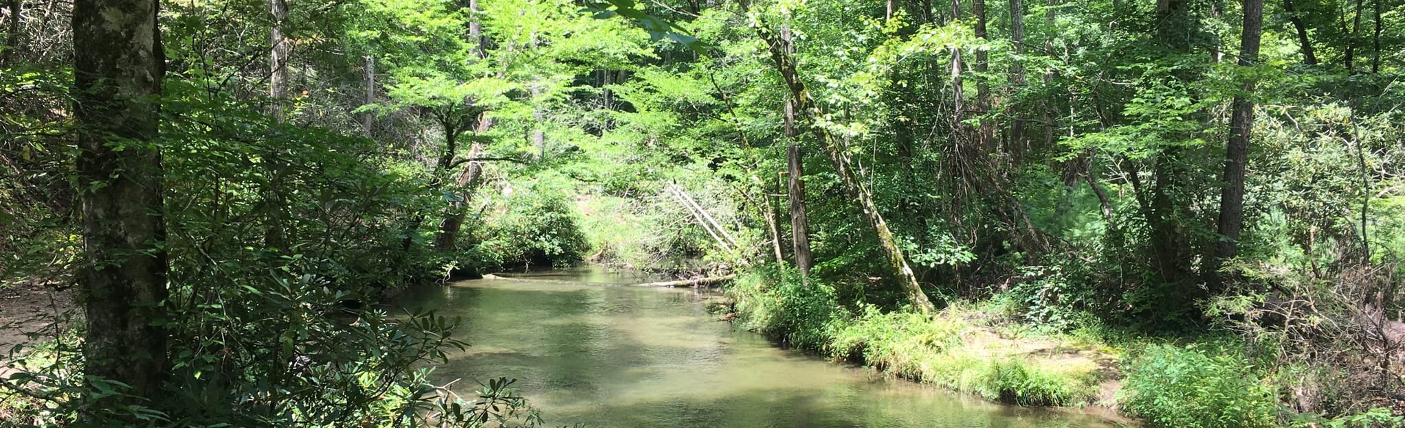 Elijah Oliver Trail via Abrams Falls Trailhead, Tennessee 81 Reviews, Map AllTrails