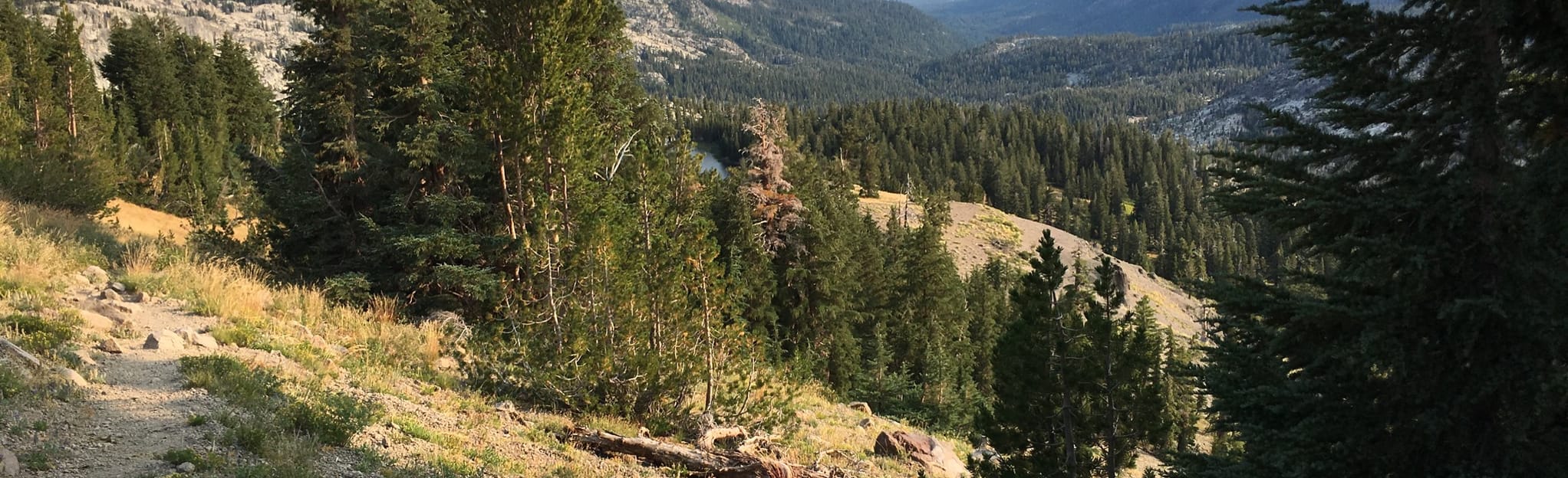 Caples Lake to Shower Lake via Schneider Cow Camp Road 77 Reviews, Map California AllTrails