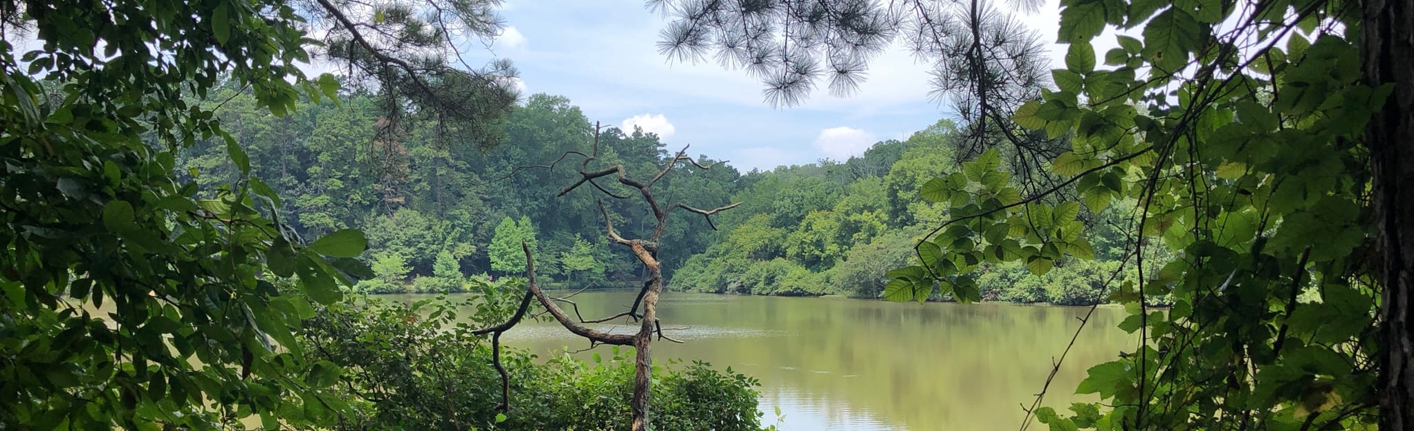 Lullwater Loop - Georgia | AllTrails