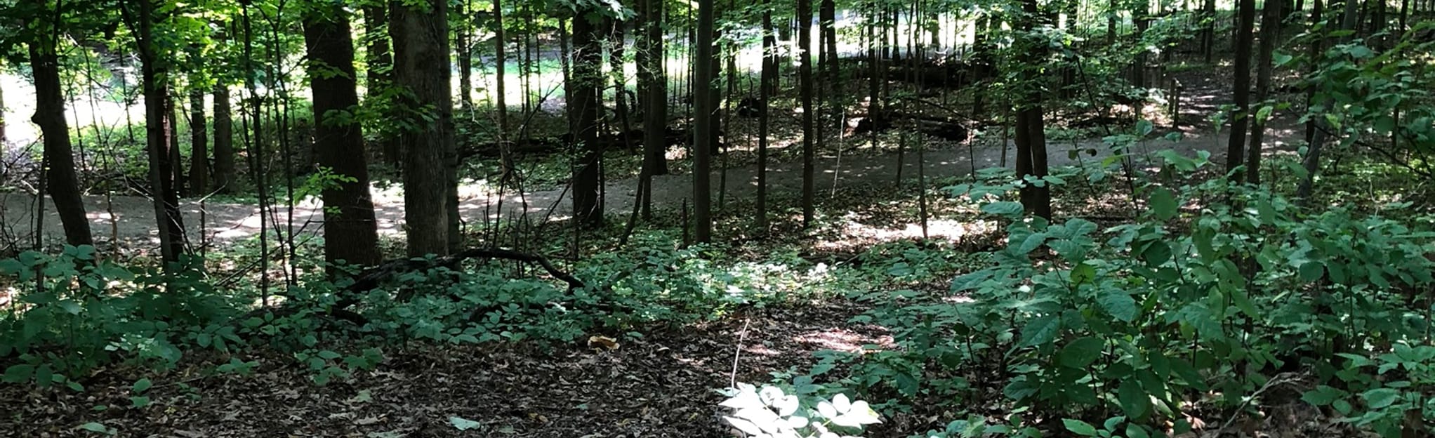 Memorial Park Long Trail, Wisconsin 111 Reviews, Map AllTrails