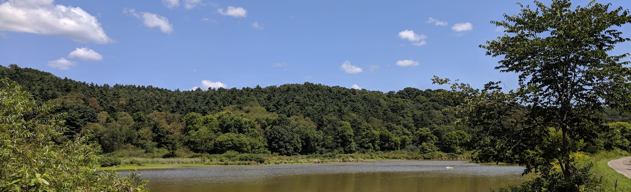 Conotton Creek Trail Bowerston to Jewett, Ohio 78 Reviews, Map