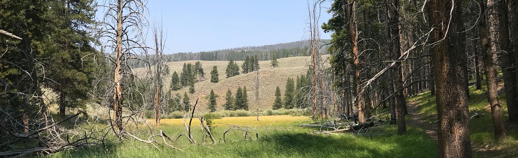 Lost Meadow, Montana - 11 Reviews, Map | AllTrails