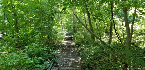 susquehanna state park bike trails