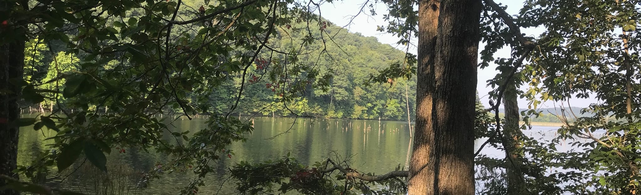 Knobstone Trail Spurgeon Hollow to Delaney Park, Indiana 244 Reviews