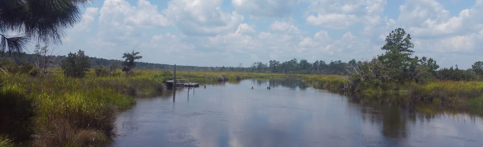 Coast Rail Trail White Oak 46 Fotos AllTrails