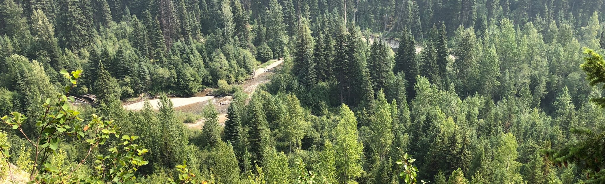 Lower Quartz Lake via Quartz Creek Trail 17 Reviews, Map Montana