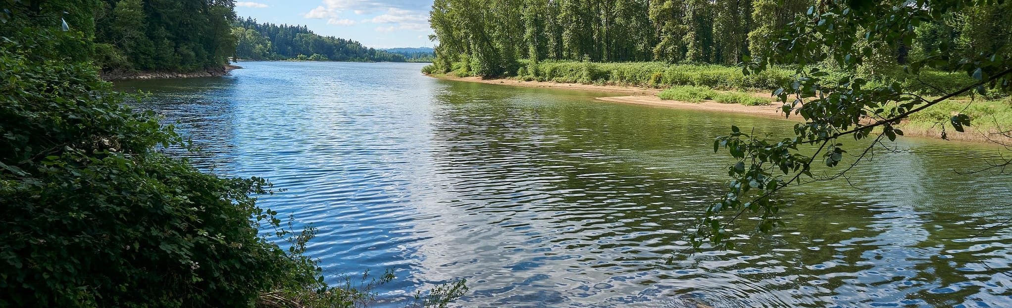 Burnside Park to Maddax Woods Trail 99 Reviews, Map Oregon AllTrails