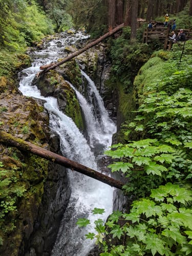 Olympic peninsula clearance waterfall trail