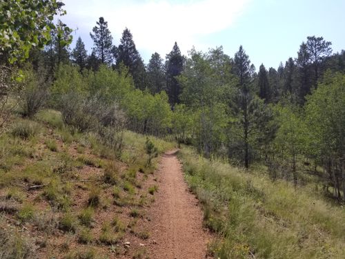 Mountain Hiking  Copper Mountain Summer Activities