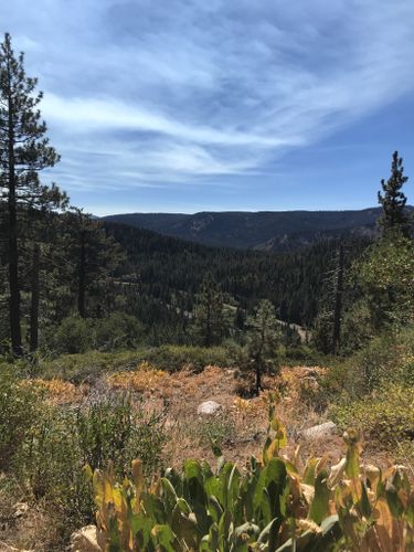 Best 10 Hikes And Trails In Donner Memorial State Park Alltrails 6598