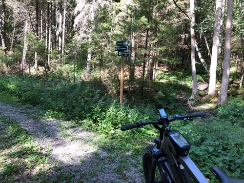 Adlisberg discount bike trail