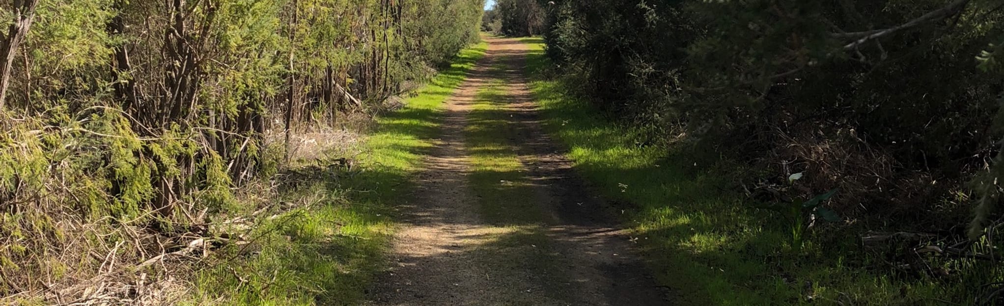 Forrestdale Lake from Rowley Road, Western Australia, Australia 3
