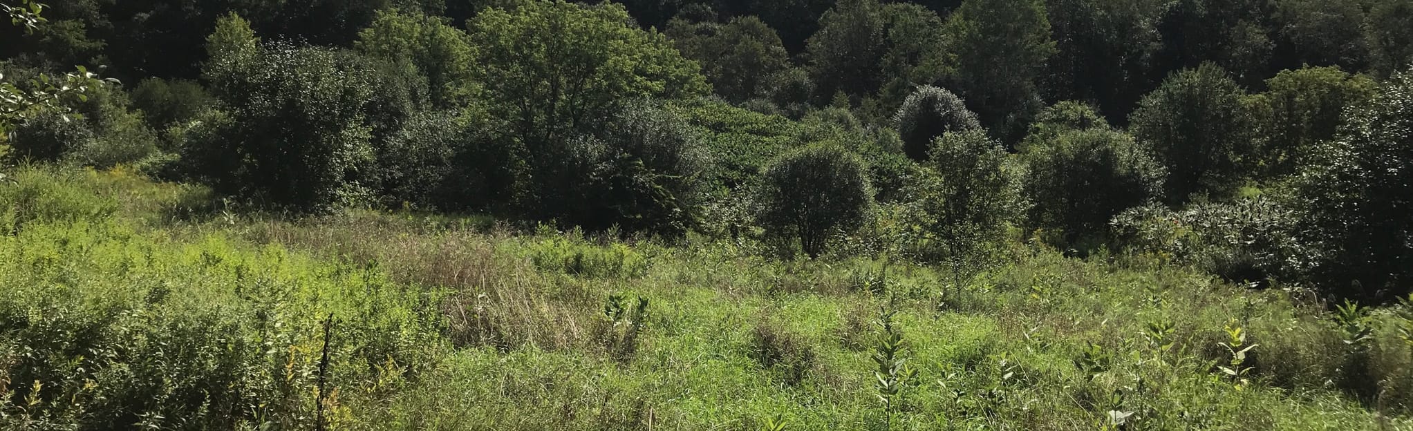 Salmon Falls River Trail 44 Reviews, Map New Hampshire AllTrails