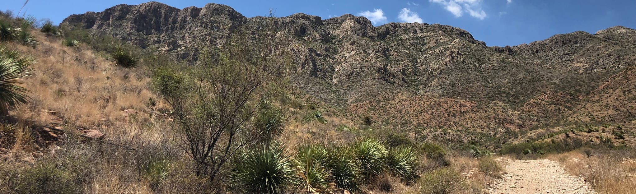 El Paso Tin Mines Trail, Texas 2,242 Reviews, Map AllTrails