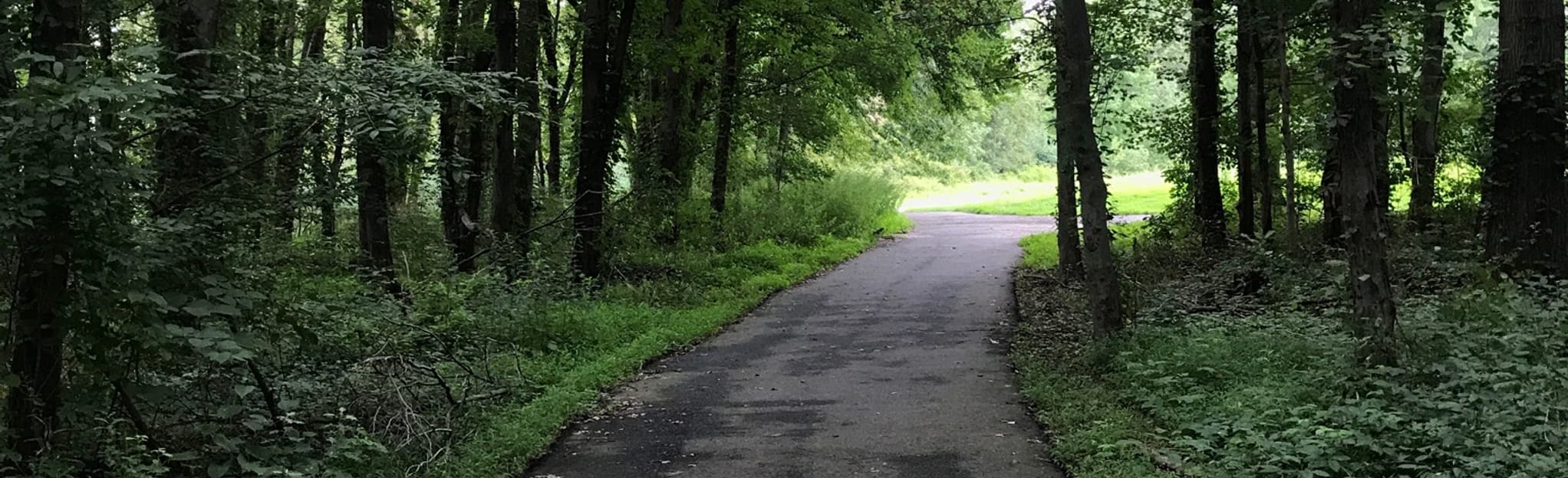 Oak Ridge Park Trail, New Jersey 343 Reviews, Map AllTrails