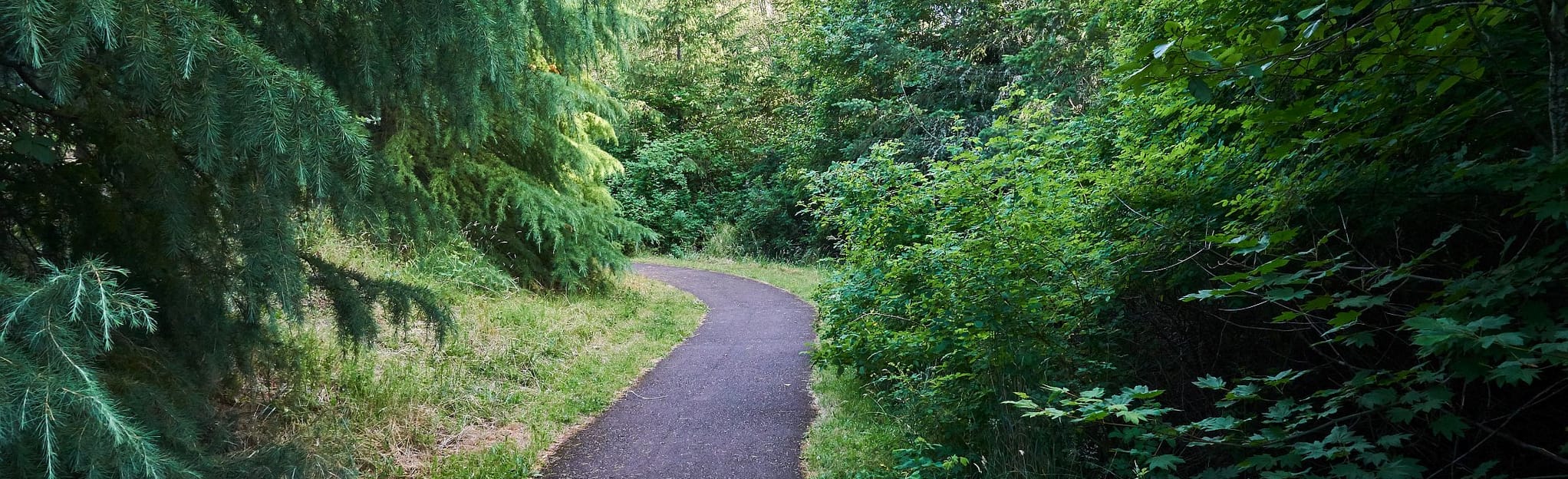 Tanner Creek Park Trail 156 Reviews, Map Oregon AllTrails