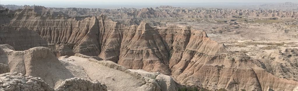 are dogs allowed in badlands national park