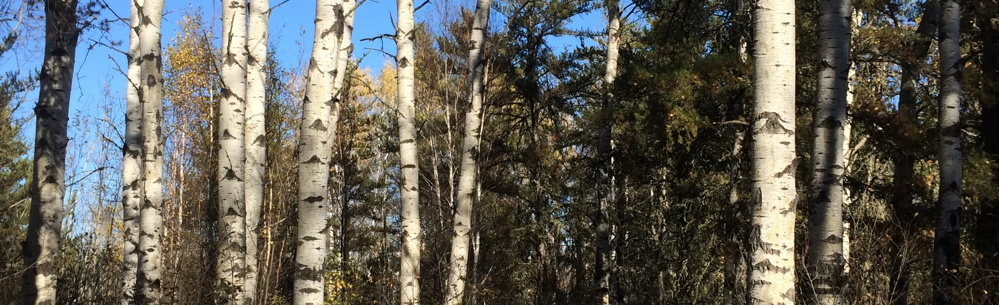 Meewasin Interpretive Trail, Saskatchewan, Canada 10 Reviews, Map