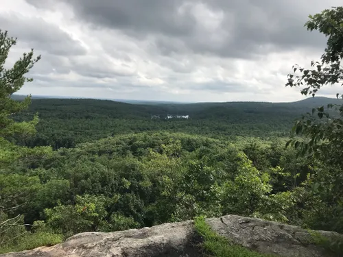 Best 10 Hikes and Trails in Leominster State Forest | AllTrails