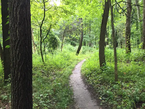 Oak openings bike online trail