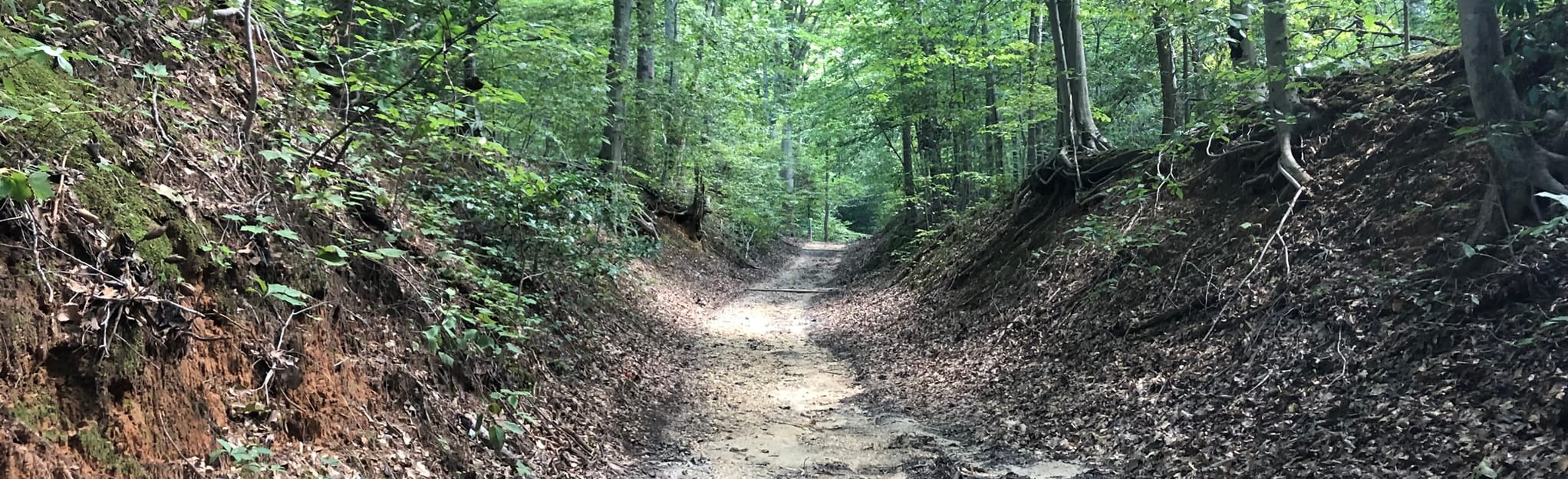 Boykin’s Landing, Virginia 129 Reviews, Map AllTrails