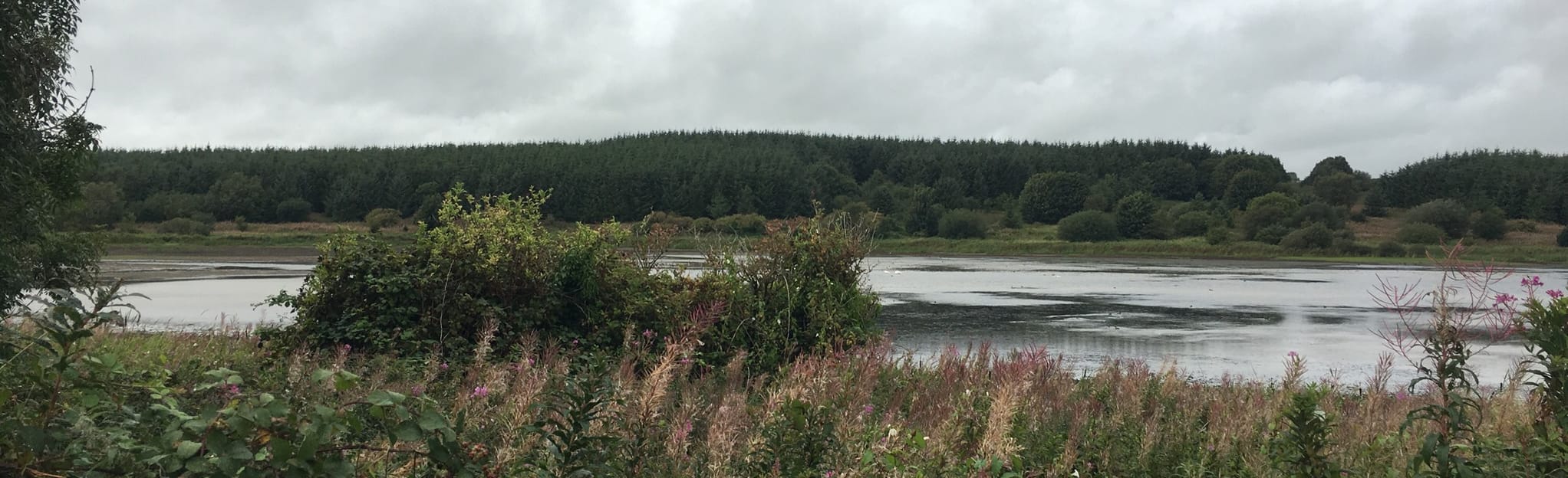 Cefni Reservoir, Anglesey, Wales 97 Reviews, Map AllTrails