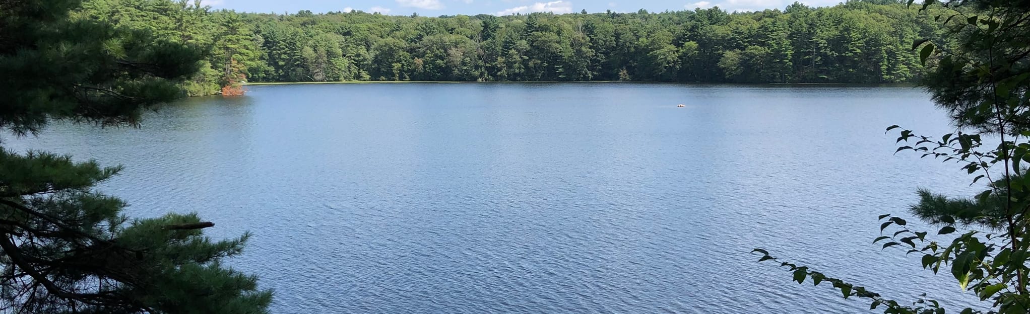 Whitehall Reservoir Loop Map, Guide Massachusetts AllTrails