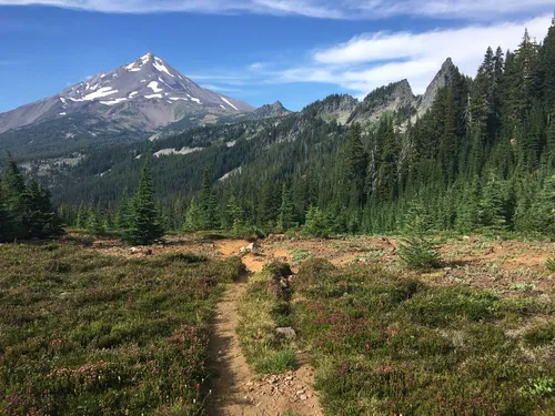 Mt jefferson 2025 wilderness hikes